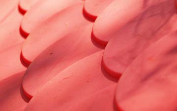 Bulkworthy plastic roof costs