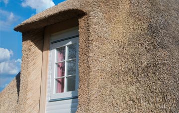 Bulkworthy thatch roof disadvantages