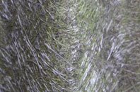 Bulkworthy fibreglass roof work