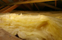 Bulkworthy pitch roof insulation